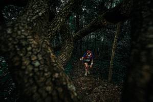 BIB: 
                            <button type="button" onclick="openModal(25695353)" class="btn btn-primary btn-sm float-right btn-popup" data-toggle="modal" data-target=".modal-high-quality">
                        <i class="fas fa-shopping-cart"></i> Add to Cart
                    </button>
                                            <button type="button" onclick="isThisMe(25695353, true)" class="btn btn-success btn-sm float-right btn-popup btn-isme hidden" data-toggle="tooltip" data-placement="bottom" title="นี่คือรูปของคุณใช่ไหม คลิกที่นี่เพื่อเอาเข้าอัลบั้ม">
                        <i class="fas fa-plus"></i> Add to album
                    </button>
                    <button type="button" onclick="isThisMe(25695353, false)" class="btn btn-warning btn-sm float-right btn-popup btn-isnotme hidden">
                        <i class="fas fa-ban"></i> Remove from album
                    </button>